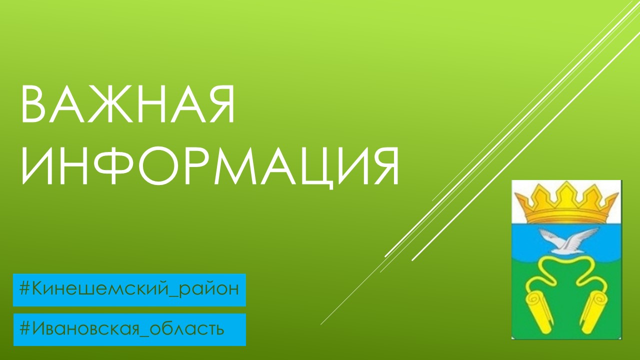 Кинешемский городской прокурор проведет тематический прием граждан по вопросам заготовки гражданами древесины для личных бытовых нужд.